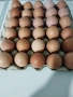 Продавам домашни ,пресни яйца , снимка 1