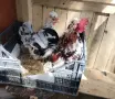 Продавам чифт бреговска джинка, снимка 2