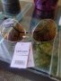 Слънчеви очила eyewear UV 400, снимка 8