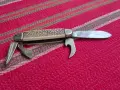 Ножка ирландска скаутска, снимка 4