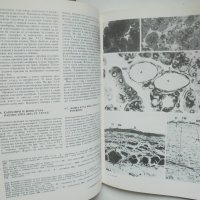 Книга Атлас по хистология - Петко Петков и др. 1988 г., снимка 6 - Специализирана литература - 40784472