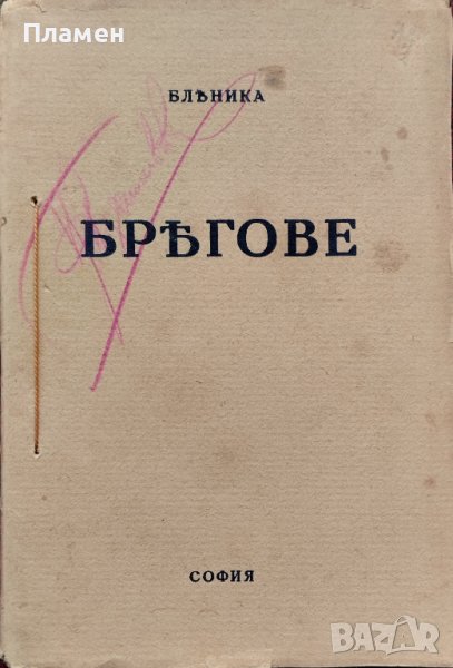 Брегове Бленика, снимка 1