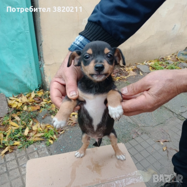 Продавам пенчер , снимка 1