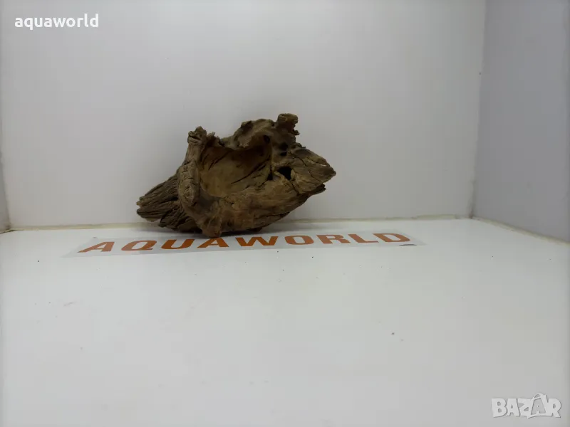 Африкански корен 18, снимка 1