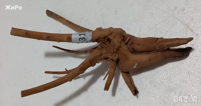 Корен от Азалия /декорация/ 31, снимка 1