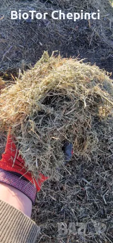 Компост от Прегоряла Трева-Рай Грас 50л чували, снимка 2 - Тор и почвени смеси - 47847251