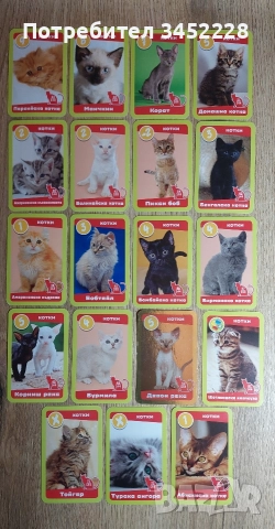 карти за колекционери 19 броя 