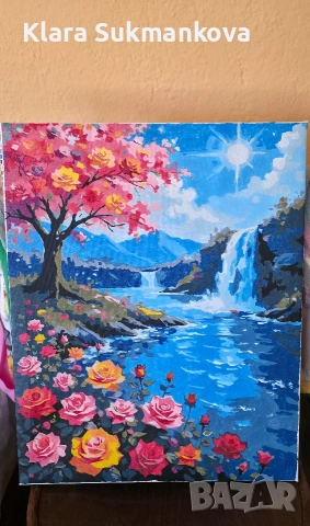 Рисувана картина по номера рози