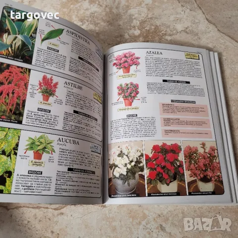 книга експерт по стайните растения, снимка 4 - Специализирана литература - 49783655