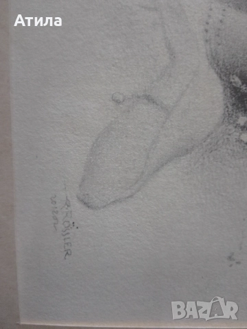 картина 37/27см, снимка 3 - Картини - 51796041