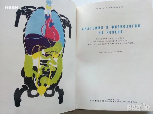 Анатомия и Физиология на човека 8 клас. - Г.Налбантов - 1967г., снимка 2 - Учебници, учебни тетрадки - 49699243