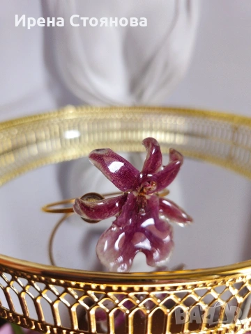 Гривна с естествен цвят на орхидея Miltonia. 