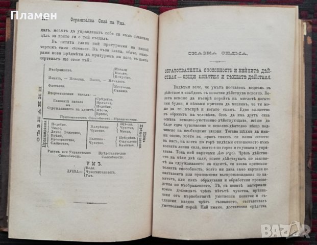 Сказки по Умственна философия или тялото и душата въ една система /1886/, снимка 6 - Антикварни и старинни предмети - 35957430