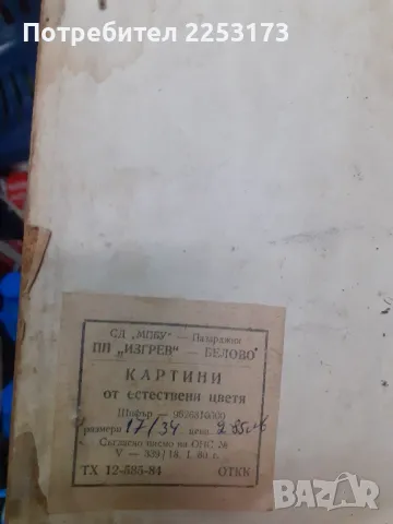Декоративно пано хербарий, снимка 7 - Пана - 47448953