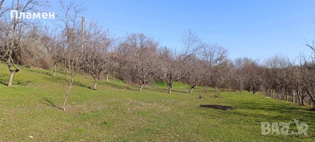 Парцел - с.Калипетрово, снимка 5 - Парцели - 53505180