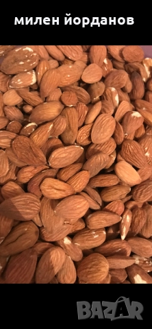 Сурови ядки -промоция!