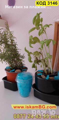 Декоративни светещи камъчета за градина - КОД 3146, снимка 6 - Други - 44841384