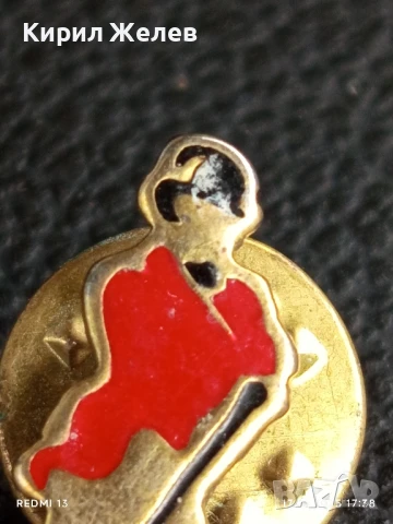 Рядка значка много красива интересна стара за КОЛЕКЦИЯ ДЕКОРАЦИЯ 35129, снимка 3 - Колекции - 51394296