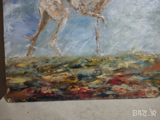 картина куче, снимка 3 - Картини - 44253040