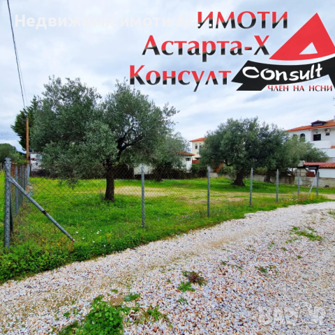 Астарта-Х Консулт продава парцел във Вурвуру Халкидики Ситония Гърция , снимка 3 - Парцели - 44735049
