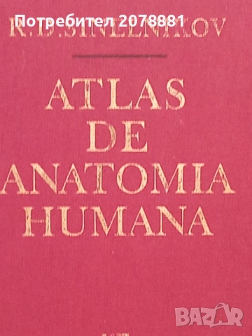 Атлас по Анатомия 2 том, снимка 2 - Специализирана литература - 51771645