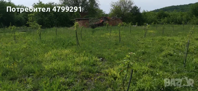 ПРОДАВА УПИ 737 КВ-БАТУЛЦИ, снимка 8 - Парцели - 56144646