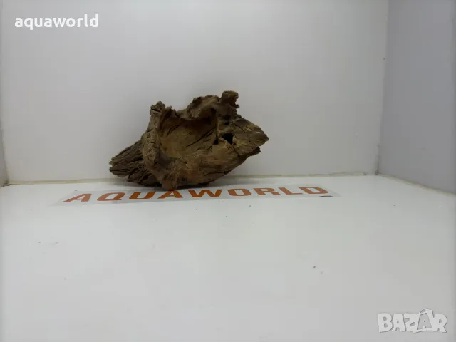 Африкански корен 18