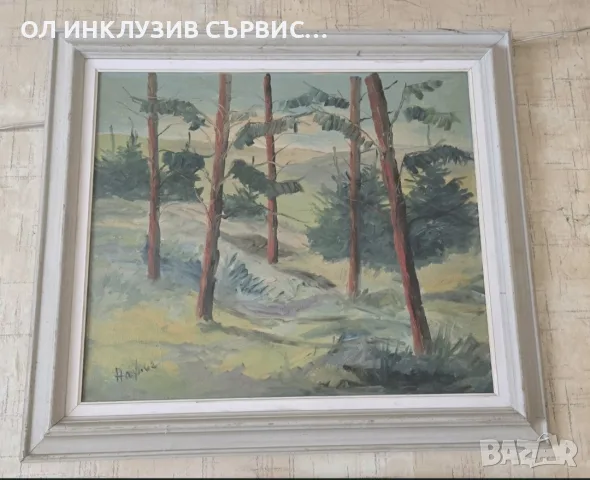 Стара маслена картина "Иглолистна гора" – Авторски горски пейзаж с рамка РАЗПРОДАЖБА
