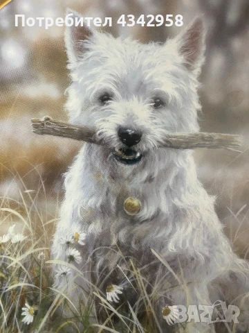 Колекционерска чиния от серия « Westies “, снимка 2 - Антикварни и старинни предмети - 50805978