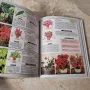 книга експерт по стайните растения, снимка 4