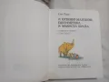 Ено Рауд: Маншон, Полуобувка и Мъхеста брада и Отново Маншон, Полуобувка и Мъхеста брада , снимка 4