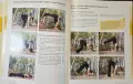 Справочник - Guide to Yoga, снимка 7