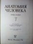 Анатомия Человека 1 и 2 том - Е.Борзяк,Л.Волкова,Е.Доброволская,В.Ревазов,М.Сапин - 1993г., снимка 9