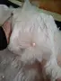 Блузка с З D цветя, снимка 2