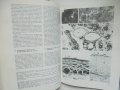 Книга Атлас по хистология - Петко Петков и др. 1988 г., снимка 6