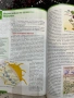 Учебници по биология за 11 клас, снимка 4
