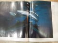Списание"NATIONAL GEOGRAPHIC-България-специално издание"120с, снимка 8