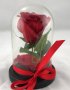 Вечна роза/Роза в стъкленица-17х10 см./изкуствена роза, снимка 3