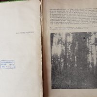 Книга-Горски култури-Б.Захариев-1972г., снимка 2 - Специализирана литература - 40886029