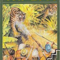 Купувам "Двата тигъра; Тайното съкровище" от Емилио Салгари, нова, снимка 1 - Художествена литература - 41618252
