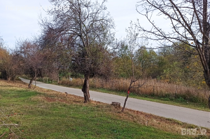 Продавам имот в гр. Берковица, снимка 1