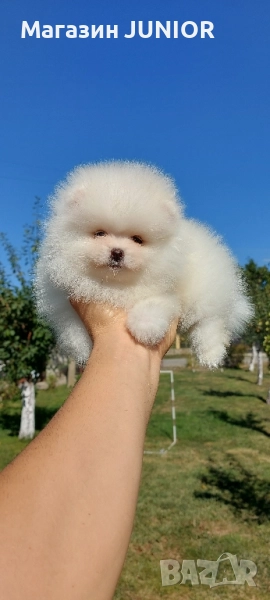 мини момче, снимка 1