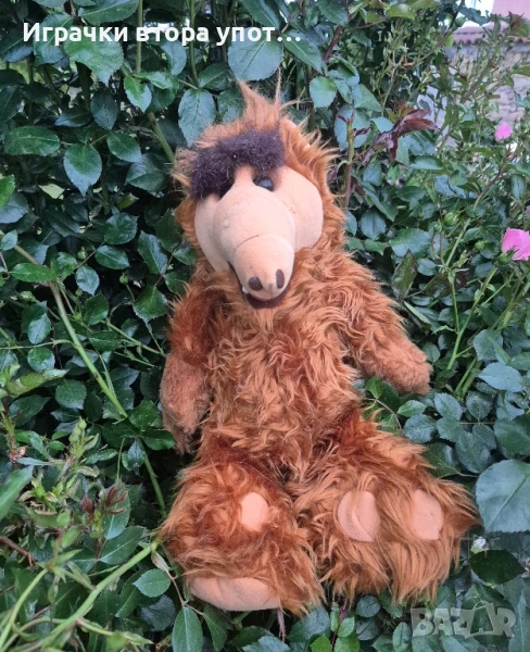 Алф , снимка 1