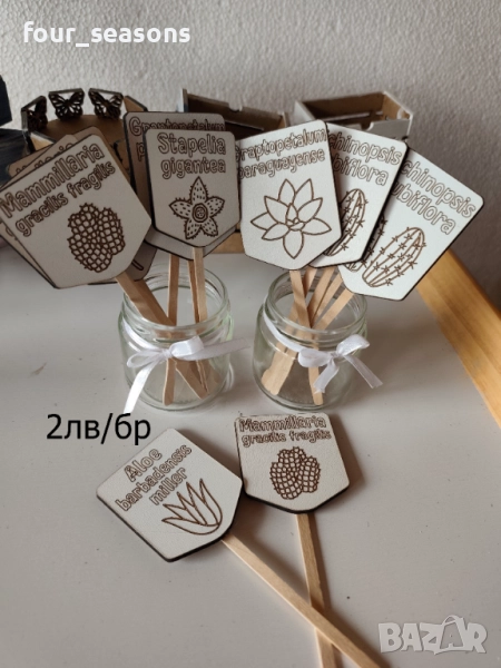 Кактуси, снимка 1