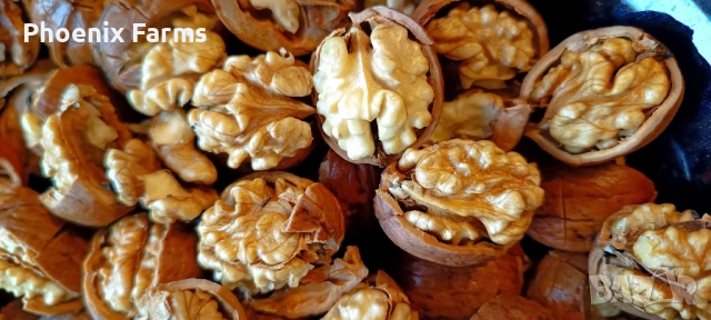 Шипки, Билков пчелен Мед, Боров прашец, коприва, пелин, снимка 7 - Домашни продукти - 50332840