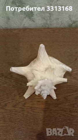 Раковина , снимка 2 - Декорация за дома - 52192622