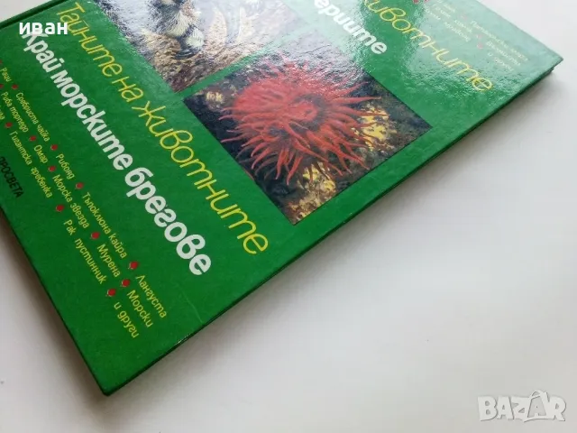 Тайните на животните - В Прериите / Край морските брегове - 1992г., снимка 11 - Енциклопедии, справочници - 49151756