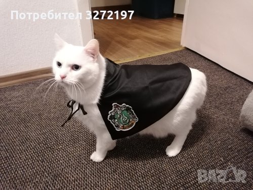 Наметало за котка и куче КОСПЛЕЙ - модерен дизайн, снимка 6 - За котки - 40460317