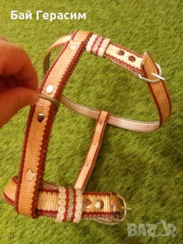 Нагръдник за куче + повод, снимка 6 - За кучета - 35773370