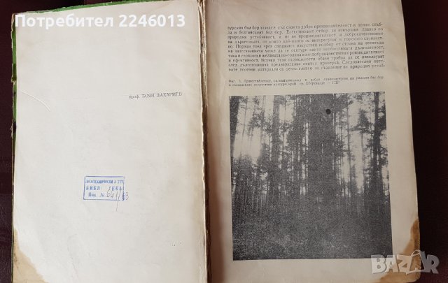 Книга-Горски култури-Б.Захариев-1972г., снимка 2 - Специализирана литература - 40886029